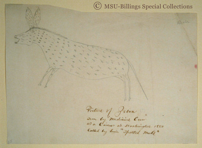 Charles H. Barstow Collection of Crow and Gros Ventre Indian Ledger Art